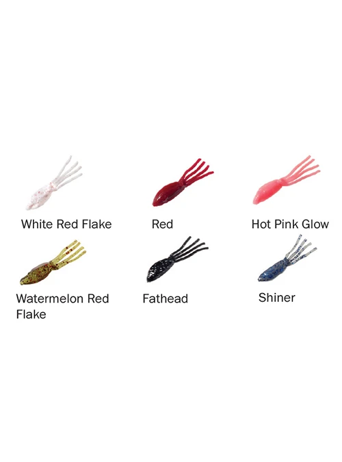 Clam Mino Head 1 Clam Mino Head